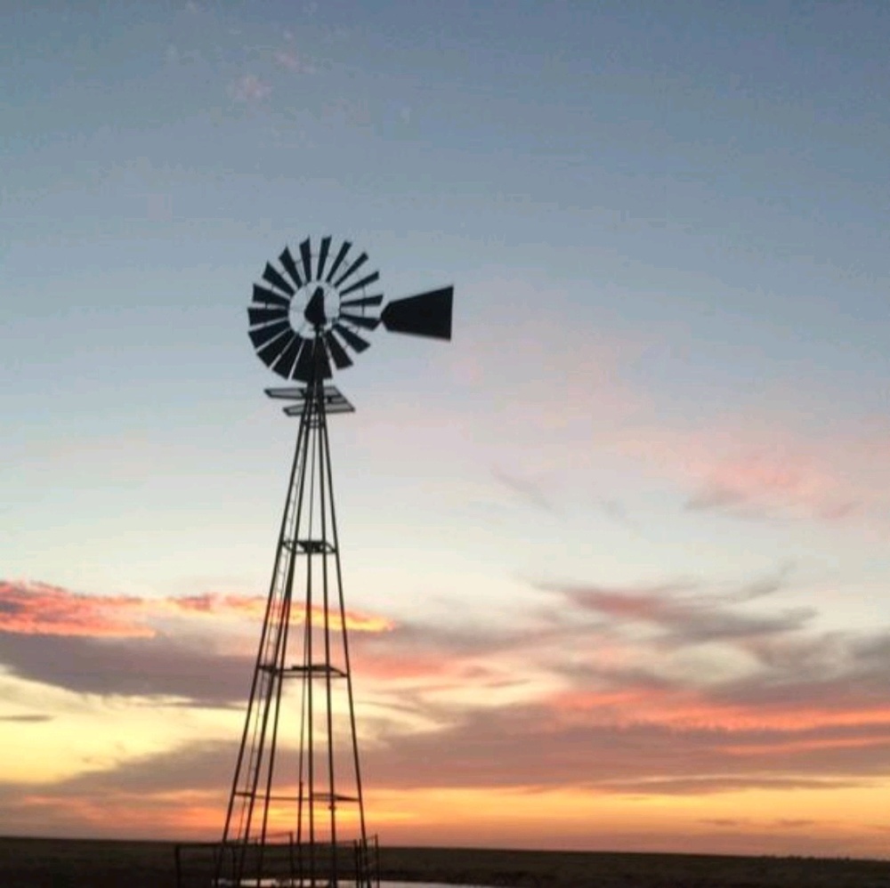 Meet your Posher, Sue